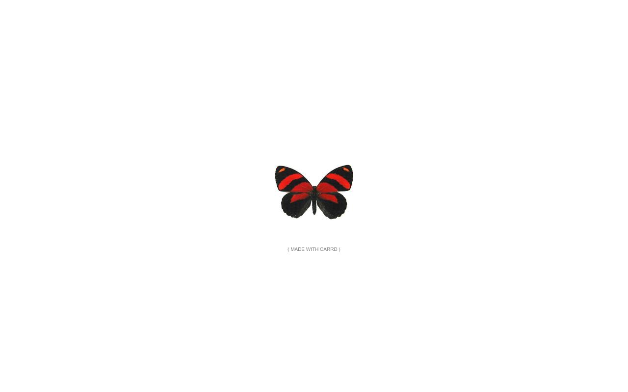 Carrd profile picture for @simulations